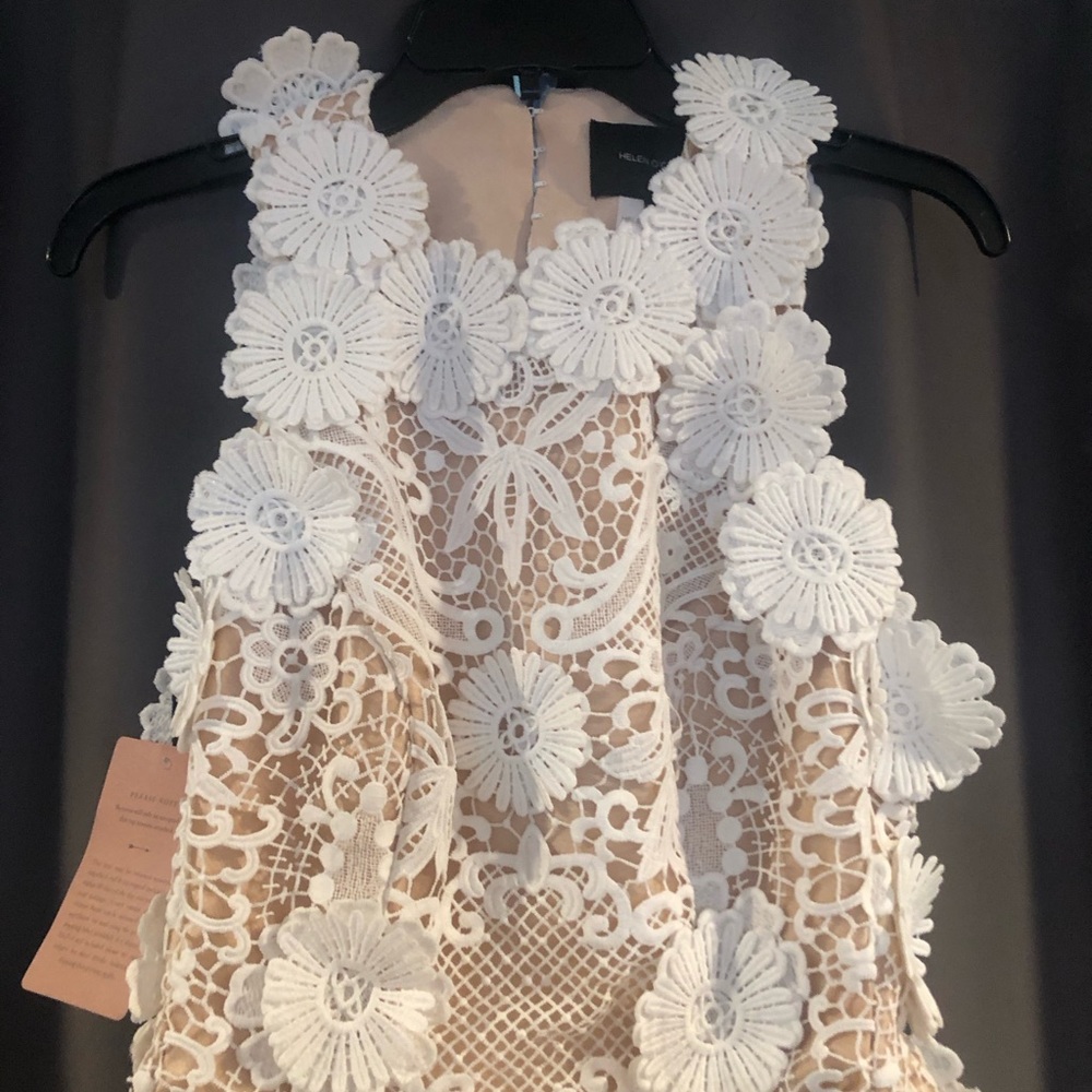 Helen O’Connor Daisy Dress Ivory | Anthropologie Mini & Tunic Dresses - Picture 4 of 7